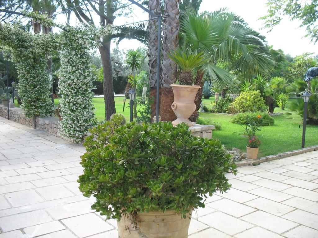 Villa Cecilia Matino Kamer foto